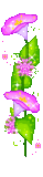  photo 251_duddn0521.gif