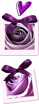 photo 263_duddn0521.gif