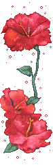  photo 266_duddn0521.gif