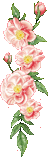  photo 270_duddn0521.gif
