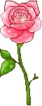  photo 277_duddn0521.gif