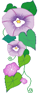 photo 280_duddn0521.gif