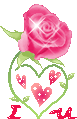  photo 285_duddn0521.gif