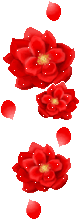  photo 286_duddn0521.gif