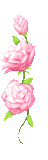  photo 289_duddn0521.gif
