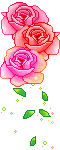  photo 297_duddn0521-1.gif
