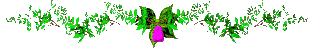  photo 33_duddn0521.gif