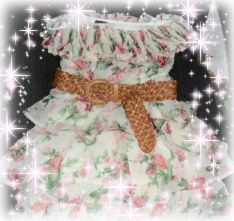 Uploaded from the Photobucket iPhone App
