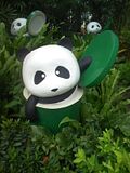 panda