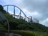 roller coaster