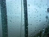 rain