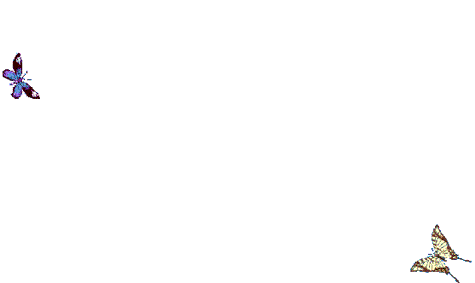 †嬢メタル協会†