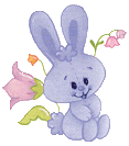  photo 24-1.gif
