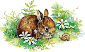  photo 25.gif