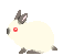  photo 26.gif