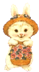 photo 29-1.gif