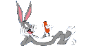  photo 29.gif