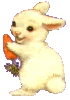  photo 30-1.gif