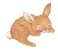  photo 33-1.gif