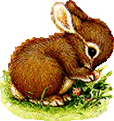  photo 39-1.gif