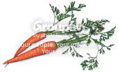  photo 48-1.jpg