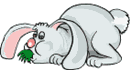  photo 8-4.gif