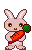  photo 87.gif