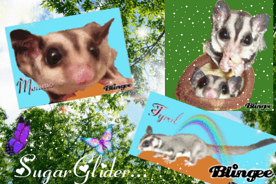 monnmo&Tyrol monnmo&Tyrol