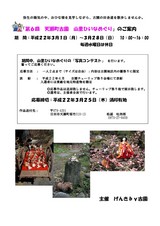 hinakontesuto22