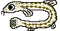 SD-Iconシマドジョウ