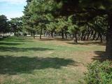 浜寺公園4