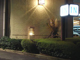 ＩＮ＆大谷石灯篭