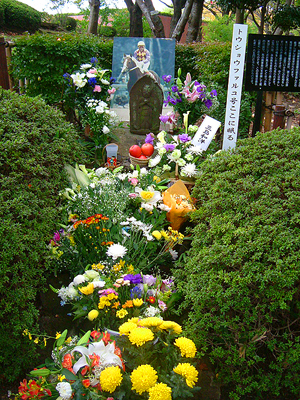 トウショウファルコに花を Private Beach