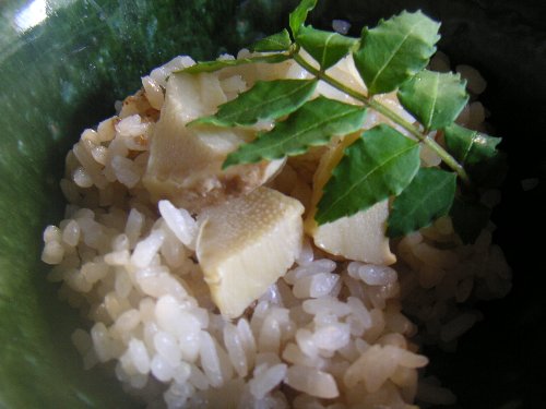 てこのこごはん