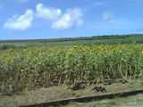 20061030B3喜界島