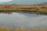 20061013A1尾瀬の紅葉