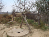 20061031A2中国大寧県