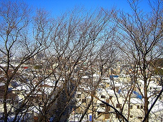 雪景色