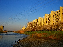 柳瀬川