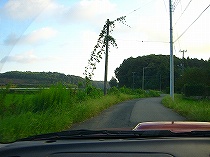 田舎みち・・・