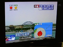 石垣・・・