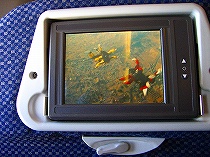 ３