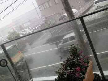 すごい吹雪・・