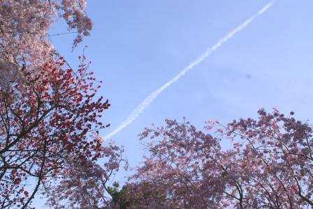 飛行機雲