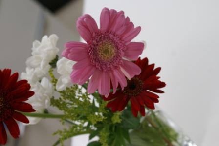お花
