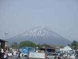 ニセコ道の駅から見える羊蹄山