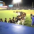 ハイタッチをするナイン