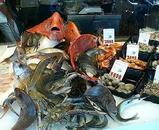 海辺じゃ魚もピチピチ