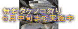 タケノコ狩り無料