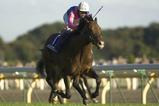 第130回天皇賞・秋優勝馬メイショウサムソン